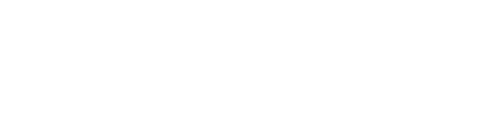 Fashion Transfer S.A.S.